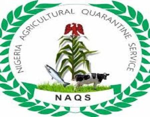 NAQS