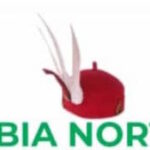 ABIA-NORTH-POLITICAL-PROJECTS-2023