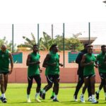 Super Eagles