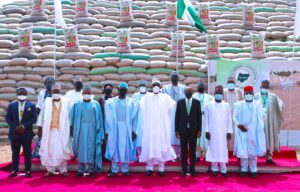 RICE PYRAMID