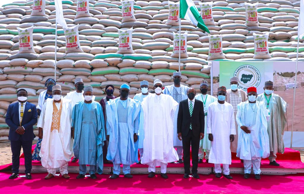 RICE PYRAMID