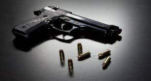 gun