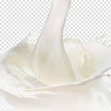 milk