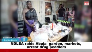 NDLEA raids Abuja garden, markets, arrest drug peddlers (PHOTOS)