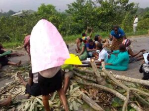 Bayelsa women protest destruction of farmlands by herdsmen