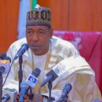 Borno Governor Babagana Zulum