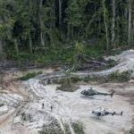 Deforestation