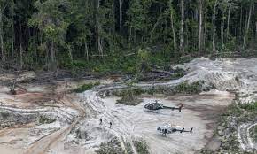 Deforestation