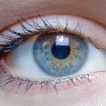 Eye