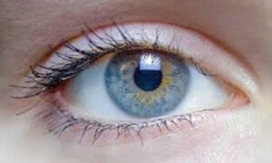 Eye