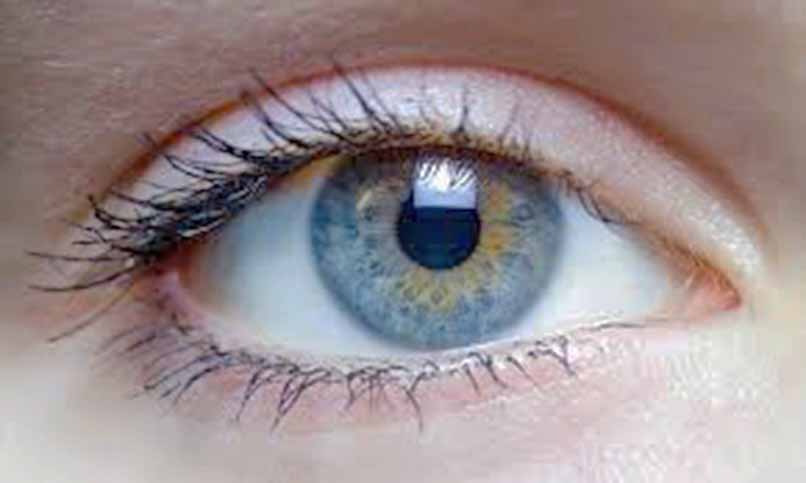 Eye