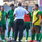 Falconets-CARprep1-copy