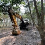 Relics of burnt excavators and rubber plantation at Okomu plantation, near Iguobazuwa, in Ovia North East LGA of Edo