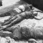 Enugu: Operatives recover bodies of unknown gunmen