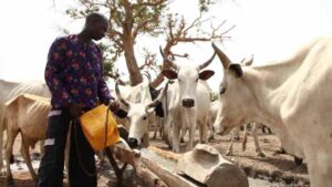 MILK-PRODUCTION