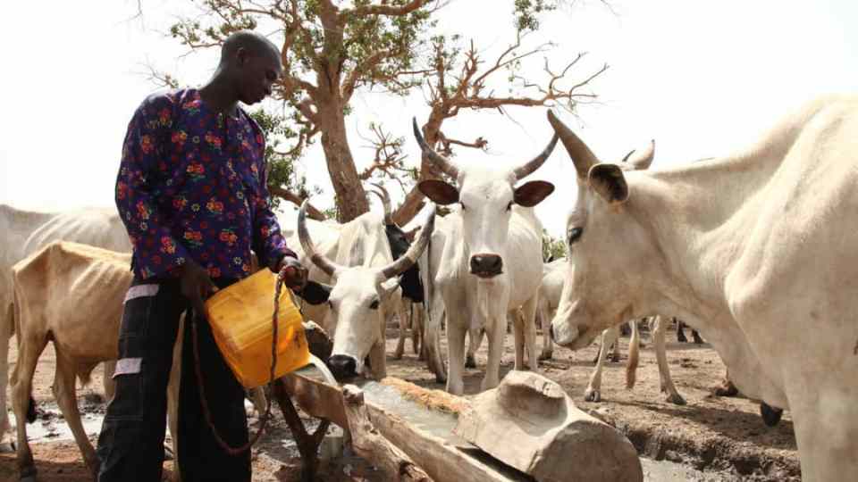 MILK-PRODUCTION