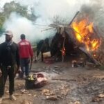 NDLEA-destroys-N900m-Indian-hemp-plantations-apprehends-13-in-Ondo