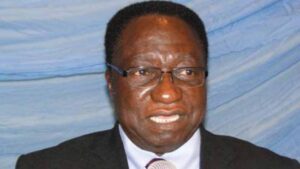 Prof Dibu Ojerinde