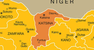 1,000 unemployed youths empowered in Katsina – FG