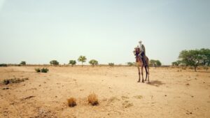 NiMET predicts 3-month dry spell in 17 states