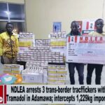 NDLEA arrests 3 trans-border traffickers with 48,000 tabs of Tramadol in Adamawa (VIDEO)