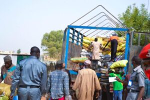 Kebbi Customs impounds trailer loaded with donkey skin worth over N42 million heading to South East