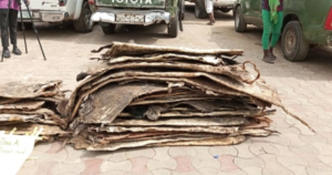 Lagos: Customs impound donkey hides, rice, other contraband worth N373 million