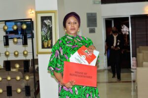 Road to 2023: Ify Morah Joins race for House of Representatives