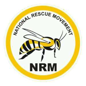 Osun 2022: Abede emerges NRM candidate