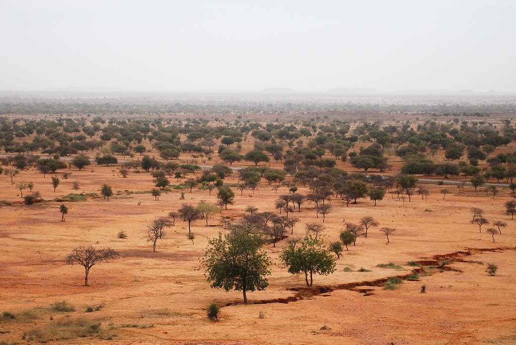 Natural disaster: Nigeria poised to implementing Sahel Resistance Project – NEMA DG