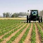 Bulgaria to deepen bilateral cooperation with Nigeria in economic sector