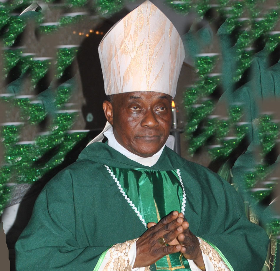 Catholic Bishop of Warri Diocese Most Rev John Okeoghene Afareha