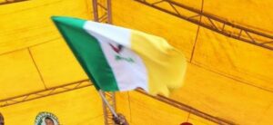 APGA flag