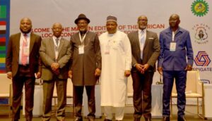 Energy transition: Oil producers allege conspiracy to pauperise Nigeria, others