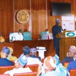 Minister-of-Power-Abubakar-Aliyu-696×464-1