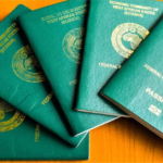 Nigerian-International-Passport