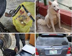 Police recover dog, car ,others from robbers in Lagos 