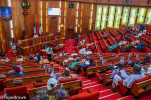 Senate passes bill mandating president, governors to submit ministerial, commissioner nominees within 30 days