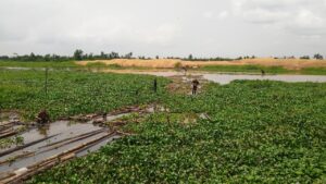 Sawdust, water hyacinth block Warri River, Lori-Ogbebor urges FG, Delta to act