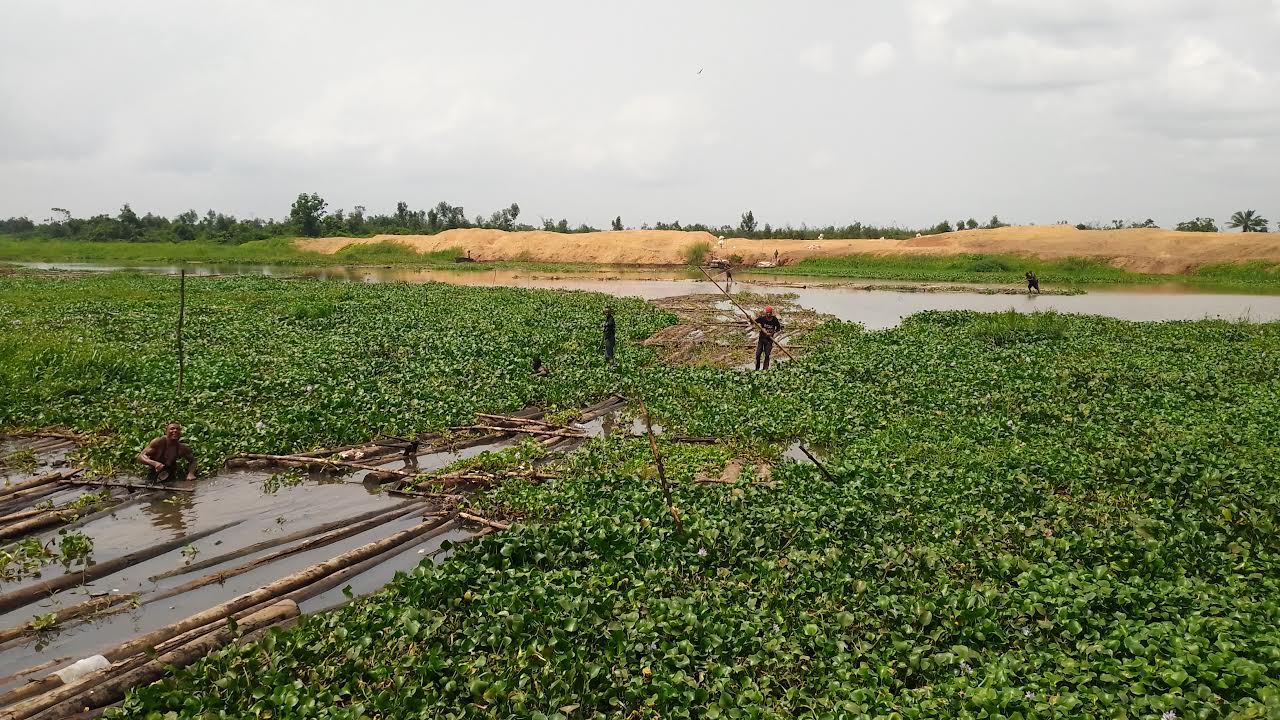 Sawdust, water hyacinth block Warri River, Lori-Ogbebor urges FG, Delta to act