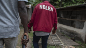 NDLEA-1