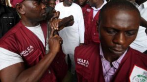 NDLEA-2