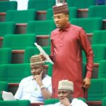 Shina-Abiola-Peller