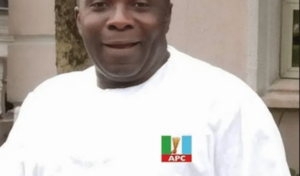 4763f477-john-akpanudoedehe