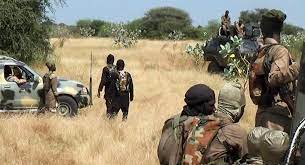 Boko Haram commanders killed in clash with hunters in Borno