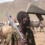 Herdsmen kill 8, injured 2 in Plateau