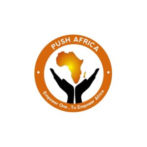 Road to 2023: Why political parties, aspirants must restrict campaign to poverty alleviation – PUSH Africa