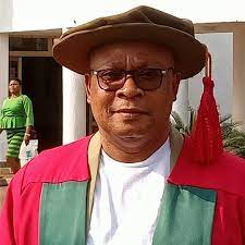 Prof. Alloysius Okolie,
