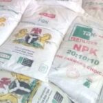 105,000 tonnes of raw materials for fertiliser arrive Nigeria June 3 – NSIA
