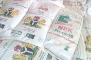 105,000 tonnes of raw materials for fertiliser arrive Nigeria June 3 – NSIA
